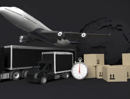 Profesyonel Nakliyat Ne Demek?